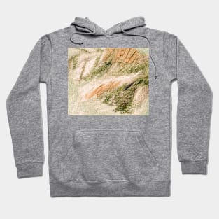 Abstract Painting Warm Green Jade Ochre 11c7 Hoodie